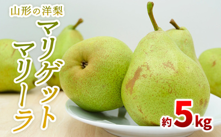 山形の洋梨 マリゲットマリーラ 秀品 約5kg(7～15玉)【令和8年産先行予約】FS23-863 くだもの 果物 フルーツ 山形 山形県 山形市 2026年産