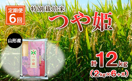 【定期便6回】特別栽培米 つや姫 2kg×6ヶ月(計12kg) FZ23-850