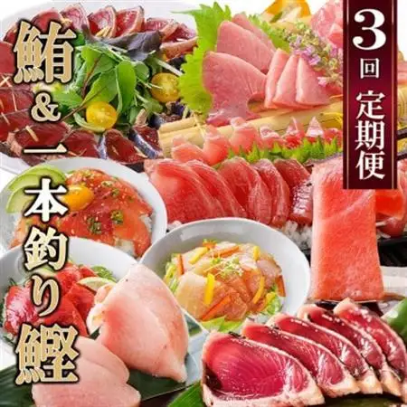 定期便(3ケ月)枕崎ふるさと納税　まぐろ＆一本釣りかつお LL-6001_刺身 魚介 鮪 鰹 本マグロ 中トロ たたき カツオ_【配送不可地域：離島】【1457813】