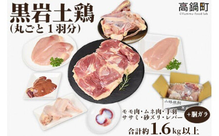 ＜黒岩土鶏(丸ごと一羽分)合計1,600g以上＞翌月末迄に順次出荷 鶏肉 丸ごと 1.6kg以上 冷凍 【c679_ki_x3】