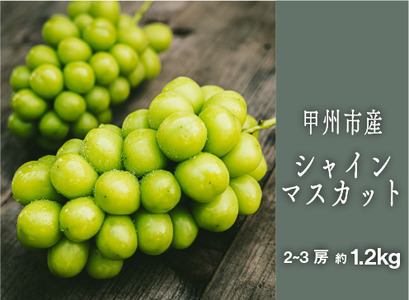 甲州シャインマスカット『果汁滴るフルーツの王様』約1.2kg 2～3房【2026年発送】（SHP）B-452 シャインマスカット フルーツ