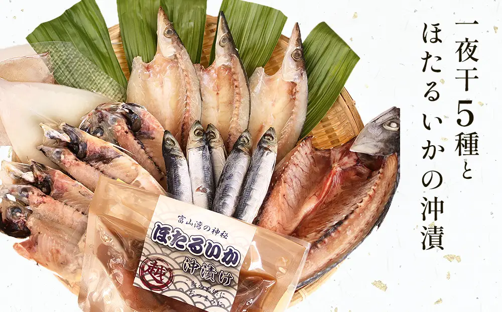 氷見 堀与 一夜干5種とほたるいかの沖漬 富山県 氷見市 干物 詰め合わせ 食べ比べ セット ホタルイカ