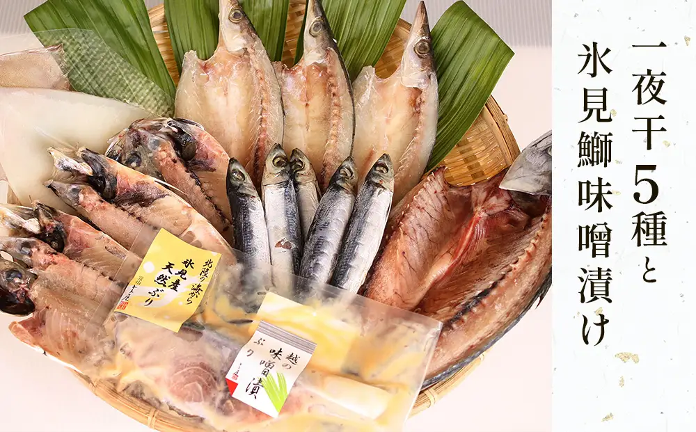 氷見 堀与おすすめ一夜干5種と氷見鰤味噌漬け 富山県 氷見市 干物 詰め合わせ 食べ比べ セット ブリ ぶり 切り身　
