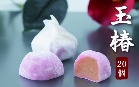 玉椿　20個入り 和菓子 / 和菓子