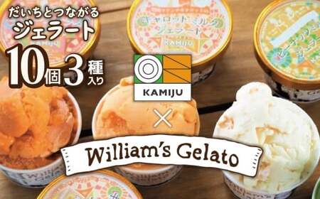 【3種のフレーバーを食べ比べ!!】だいちとつながるジェラート10個セット 映えるデザインが可愛いと話題に!! マドンナキャロット 地元野菜 甘い アイス スイーツ デザート 洋菓子 可愛い 詰め合わせ キャロットミルク フルーツサラダ ピーナッツミルク 自慢 冷たい にんじん 人参 落花生 ピーナッツ 農家 神重農産 H105-215