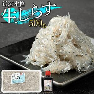 訳アリ　厳選生しらす　500g　おさしみしらす AR007