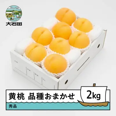 令和8年産 もも 有袋黄桃 秀品 品種おまかせ 約2kg ns-mootx2