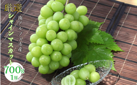 ＜2026年発送＞ 厳選!  シャインマスカット 700ｇ 1房 南アルプス市産 | シャインマスカット