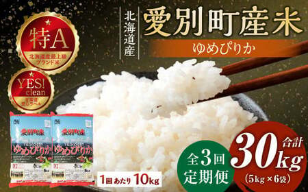 愛別町産米（ゆめぴりか5kg×2袋）3ヶ月定期配送