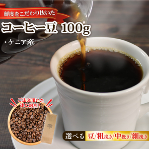 コーヒー豆 100g ケニア ＼ コーヒー ／