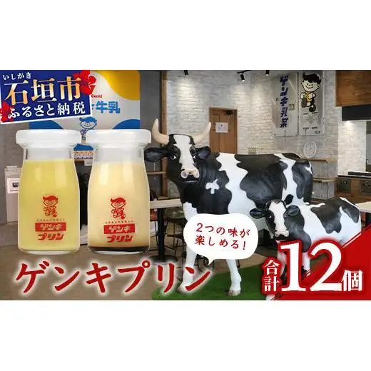 ゲンキプリン 12個 （プレーン6個、マンゴー6個）