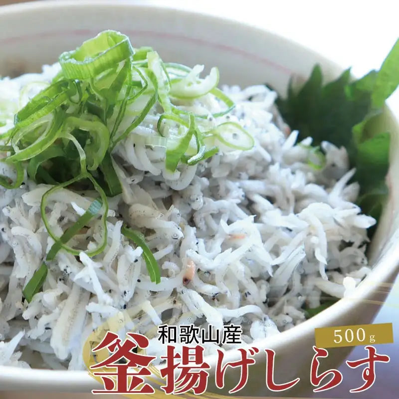 紀州和歌山湯浅産 釜揚げしらす 500g(100g×5) ※冷凍発送 シラス 釜揚げシラス 海産 海の幸 魚 さかな【uot786A】