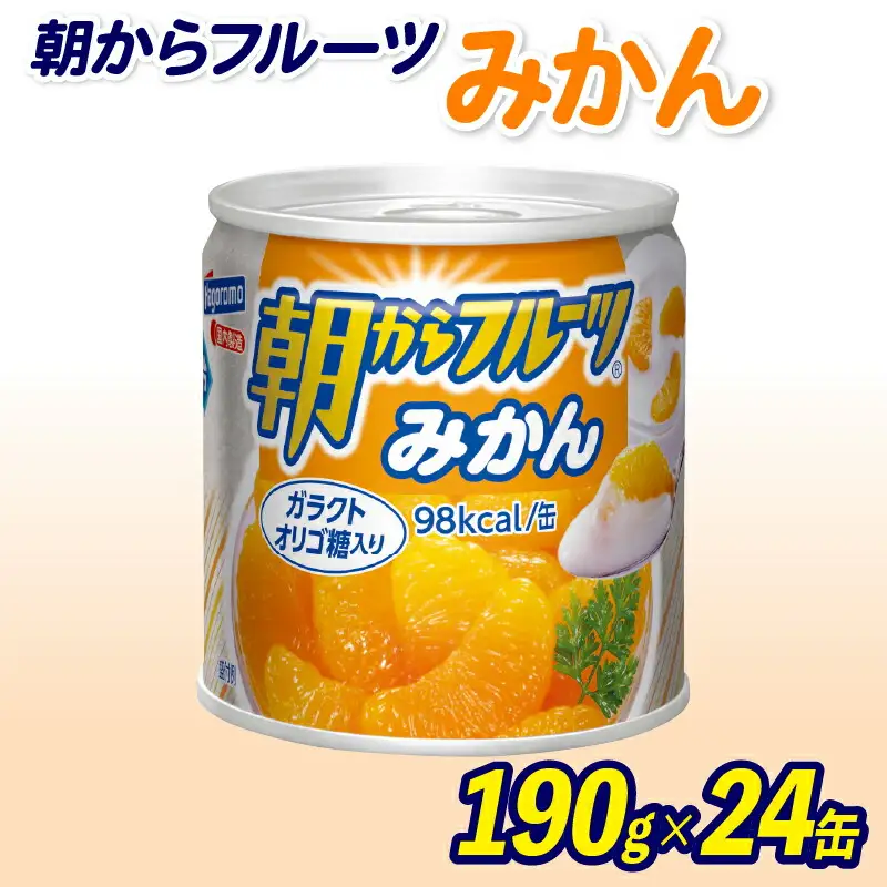 フルーツ 缶詰 みかん 24缶 みかん