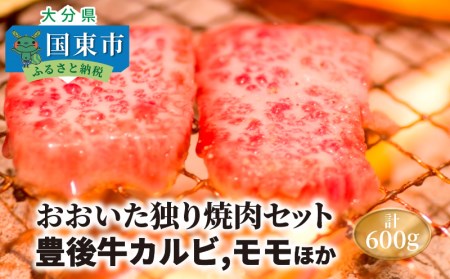 おおいた独り焼肉セット計600g/豊後牛カルビ,モモほか _1157R