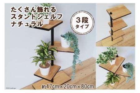 たくさん飾れるスタンドシェルフ 3段タイプ ナチュラル（天然木／完成品） [0981]