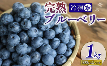 先行予約【2026年8月下旬頃から出荷】うえだブルーベリー畑の手摘みブルーベリー【1kg】 