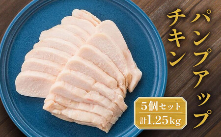 パンプアップチキン５個セット　計1.25kg AGQ0002