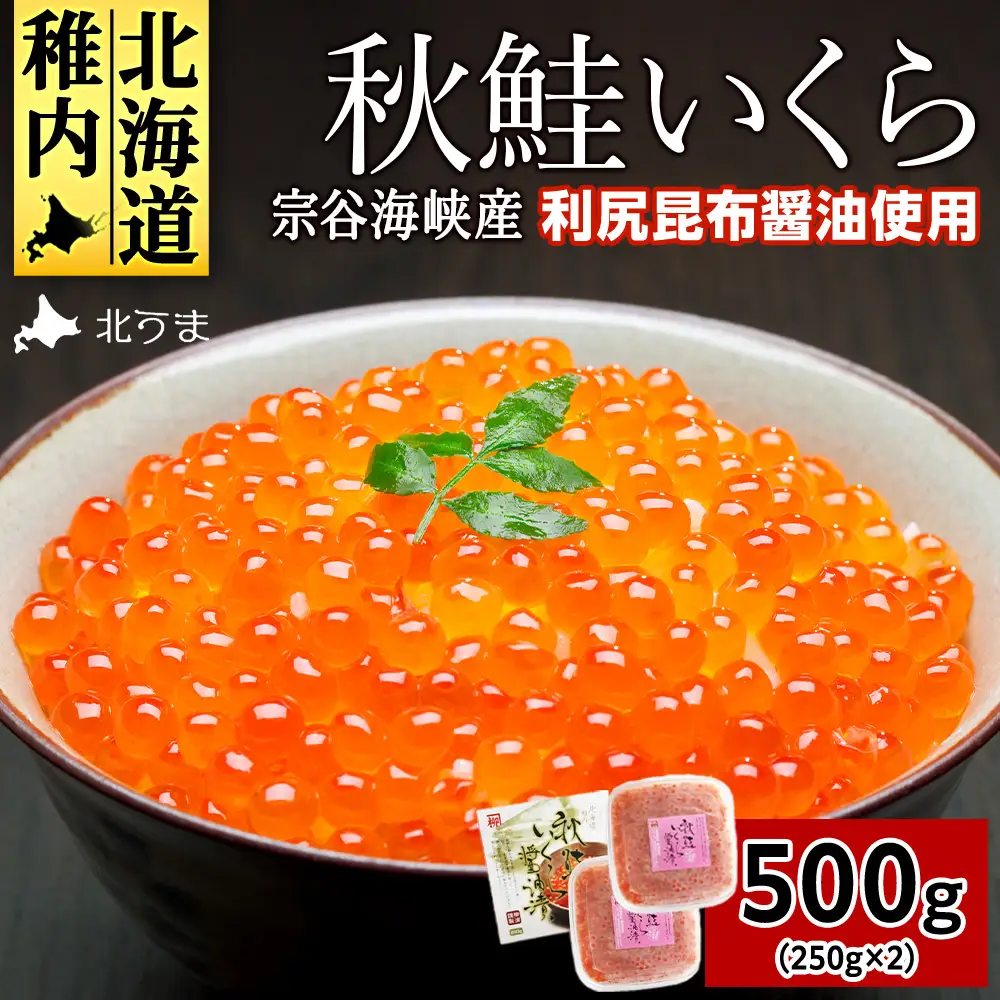 【宗谷海峡産】秋鮭いくら醤油漬け250g×2【配送不可地域：離島】
