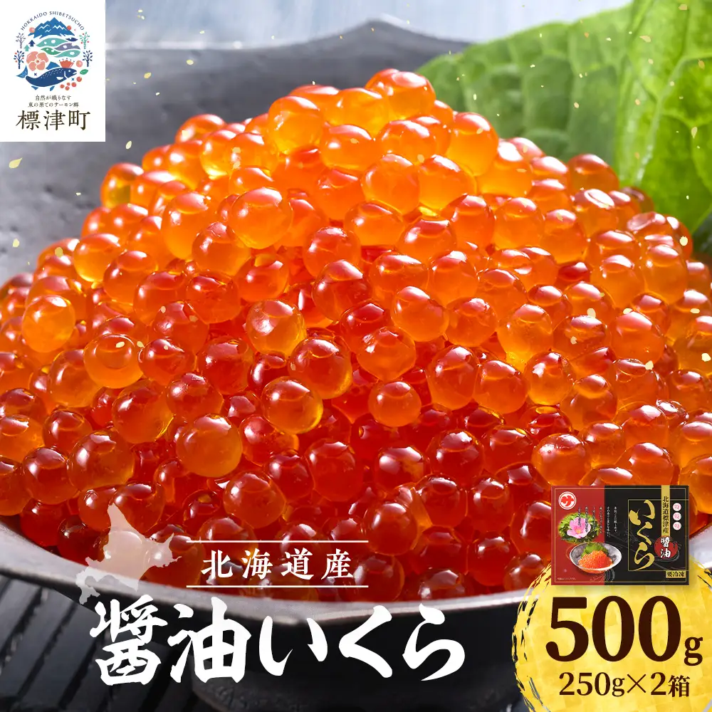 醤油いくら 500g(250g×2)  いくら醤油漬け 鮭いくら