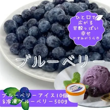 『ブルーベリーやすだ』の濃厚ブルーベリーアイス10個　＆　冷凍ブルーベリー500gのセット_菓子・スイーツ アイス・ジェラート    果物・フルーツ ブルーベリー  _【配送不可地域：離島】【1452613】