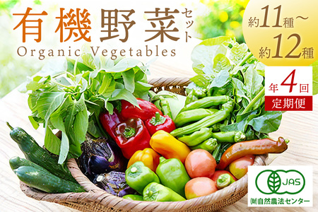 【年4回定期便】＜てんとうむしばたけ＞オーガニック野菜セット　有機野菜11～12種(4人用)