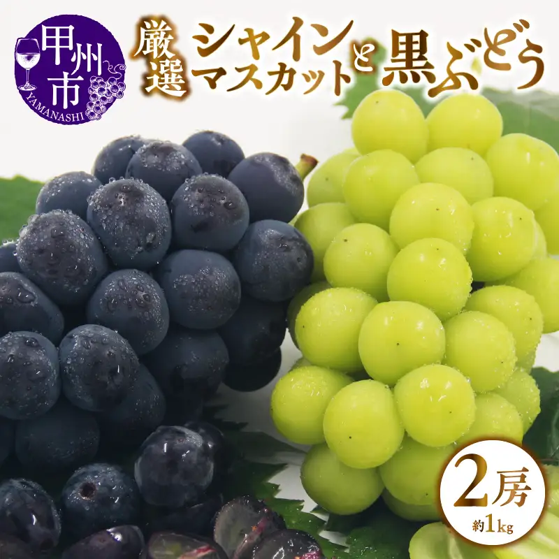 甲州市産 厳選 ぶどう 2種詰合せセット 2房 約1.0kg【2026年発送】（APX）B-199 シャインマスカット 黒ぶどう フルーツ