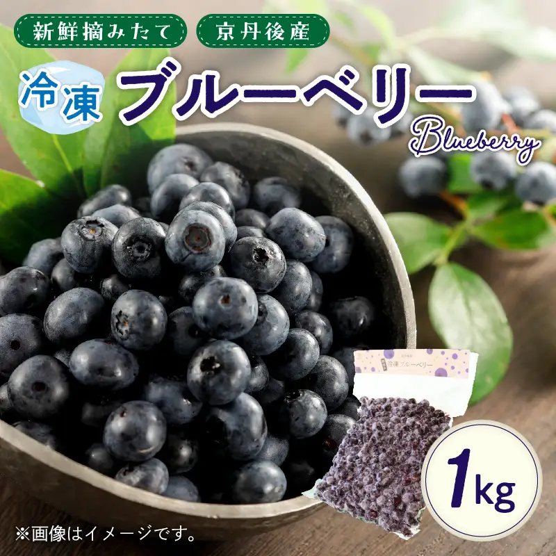 冷凍ブルーベリー 1kg | フルーツ 果物 ベリー