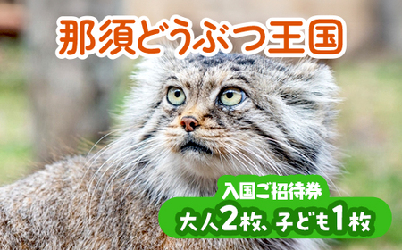 那須どうぶつ王国 ご招待券（大人2名 小人1名） ｜ 動物 動物園チケット 動物園 どうぶつえん チケット 券 入場券 入園券 観光 ファミリー 家族 お出かけ 旅行 栃木県 那須町〔P-154〕