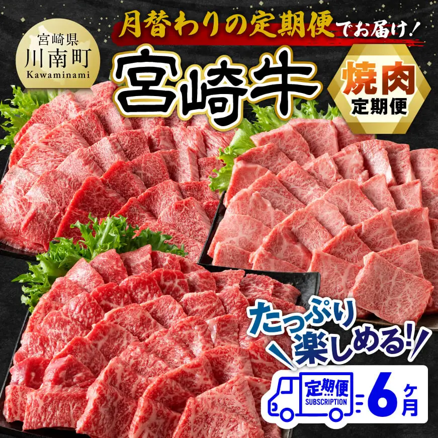 【6ヶ月定期便】宮崎牛焼肉定期便 全6回【 肉 牛肉 国産 宮崎県産 】
