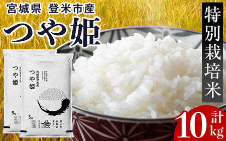 ≪令和7年産≫ 特別栽培米 つや姫 10kg (5kg×2袋)  登米市産 お米 おこめ 米 コメ 白米 ご飯 ごはん おにぎり お弁当 【登米ライスサービス株式会社】tm155
