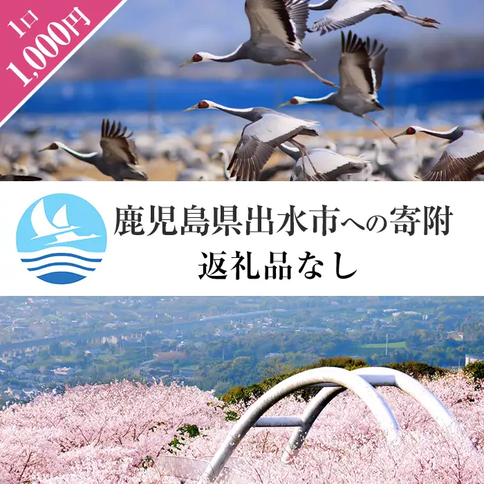 i902 ≪返礼品なし・1,000円≫鹿児島県出水市への寄附 返礼品なし 寄附のみ【出水市役所】