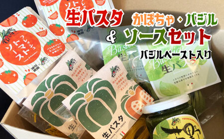 生パスタ バジル・かぼちゃ &ソース&バジルぺーストセット 生 パスタ 麺 食品 保存 備蓄 生麺 グルメ スパゲティ 本格 小麦 タリアッテレ 国産 めん 麺類