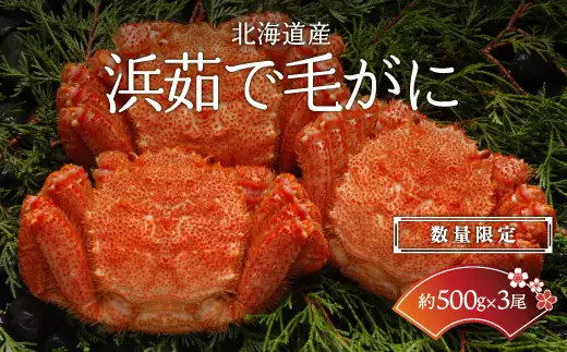 【数量限定】＜北海道産＞浜茹で毛がに【約500g×3尾】（網走加工） 【 毛蟹 毛ガニ 毛がに かに味噌 カニみそ 】 ABC017