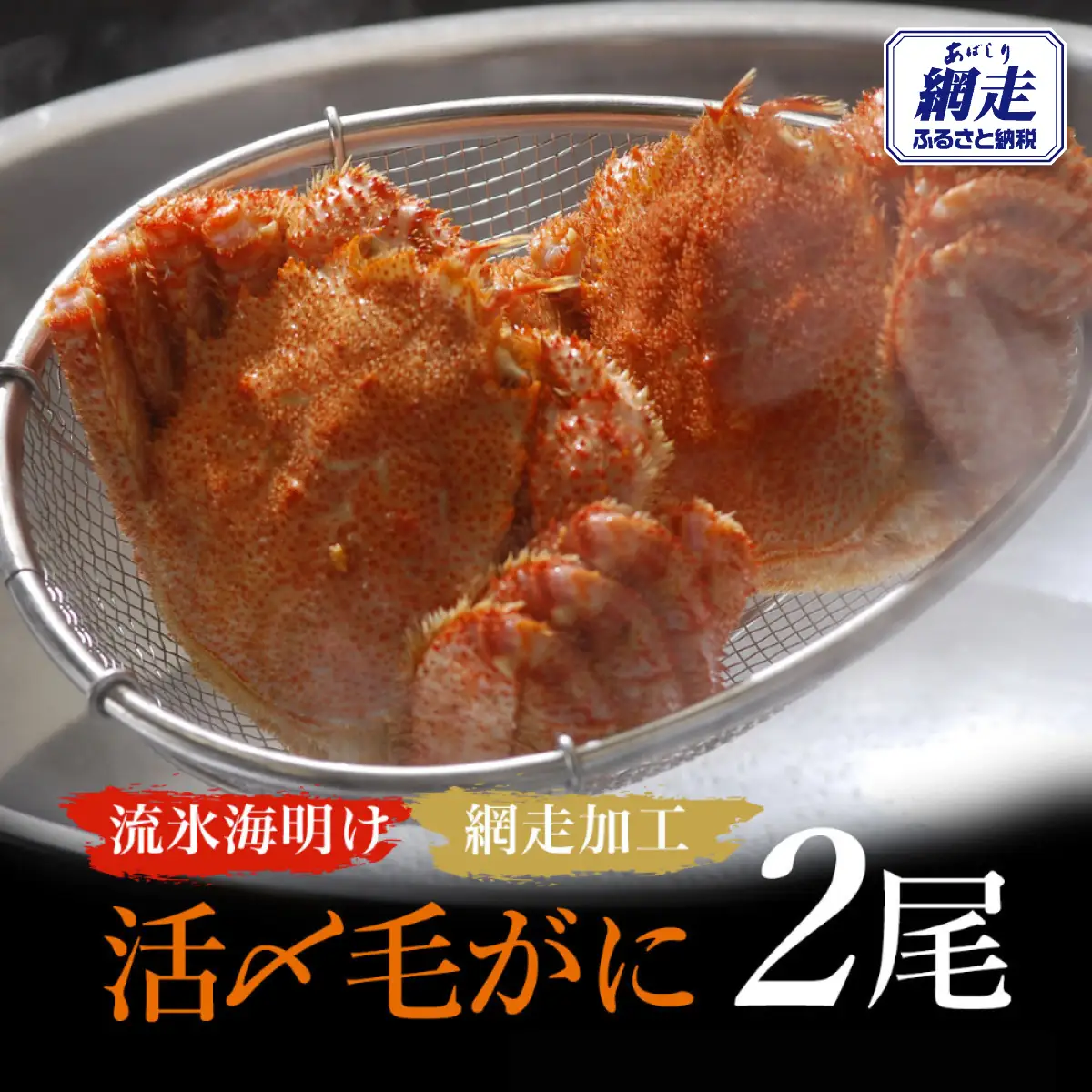 【先行予約】流氷海明け活〆毛がに2尾（冷蔵便）【2026年4月中旬～発送開始予定】（網走加工） ABAO2129 | 毛がに