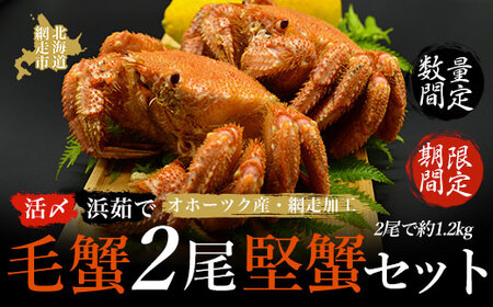 【期間限定・数量限定】美味活〆浜茹 で毛蟹2尾「堅蟹」セット(オホーツク海産・網走加工) 【 ふるさと納税 人気 おすすめ ランキング 毛がに 毛ガニ 毛蟹 カニ ガニ 蟹 堅蟹 海鮮 新鮮 かに味噌 カニ味噌 浜茹で 2尾 オホーツク 北海道 網走市 送料無料 】 ABAO2160