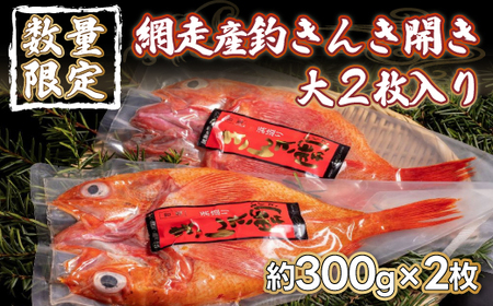 【数量限定】＜網走産＞釣きんき開き大2枚入り（網走加工）【 ふるさと納税 人気 おすすめ ランキング 釣きんき 釣キンキ 釣りきんき キンキ 干物 一夜干し 開き 魚 網走産 お手軽 簡単 新鮮 冷凍 絶品 北海道 網走市 送料無料 】 ABF006
