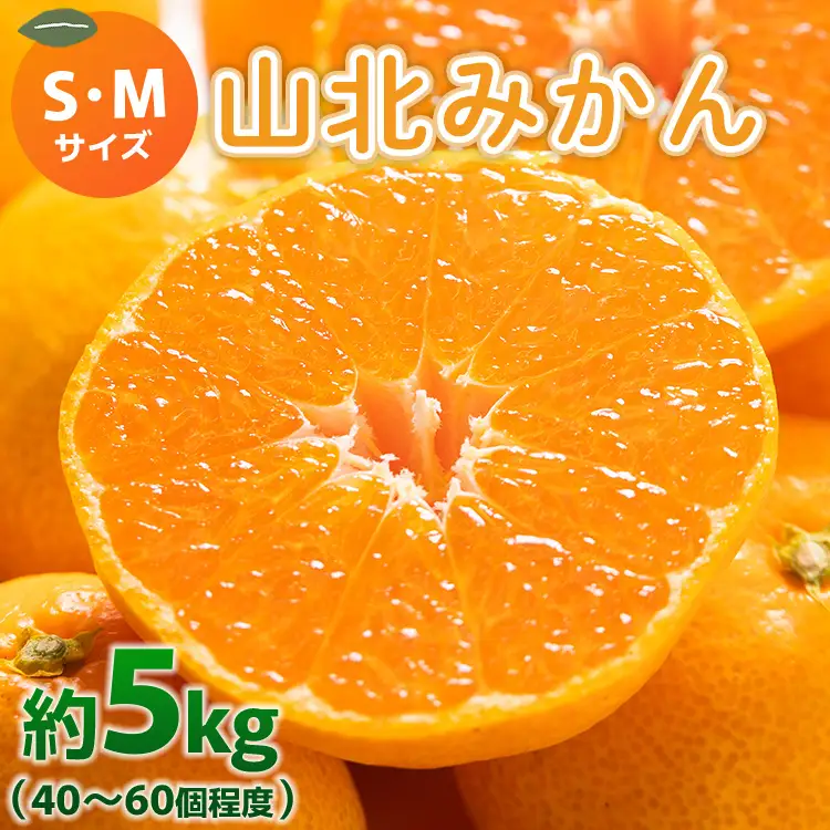 【特産フルーツ】山北みかん(秀品) 約5kg フルーツ yk-0062
