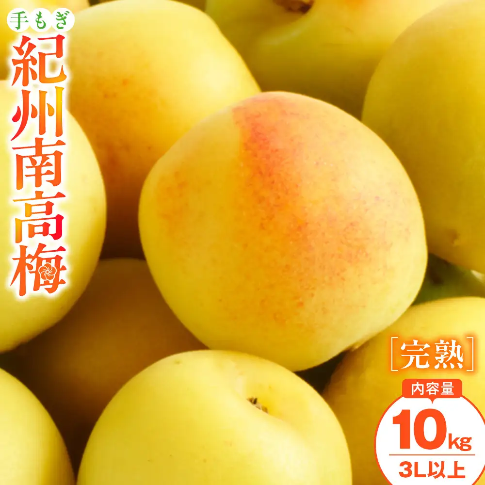 手もぎ 完熟南高梅 10kg 大粒 3Lサイズ以上 谷本農園