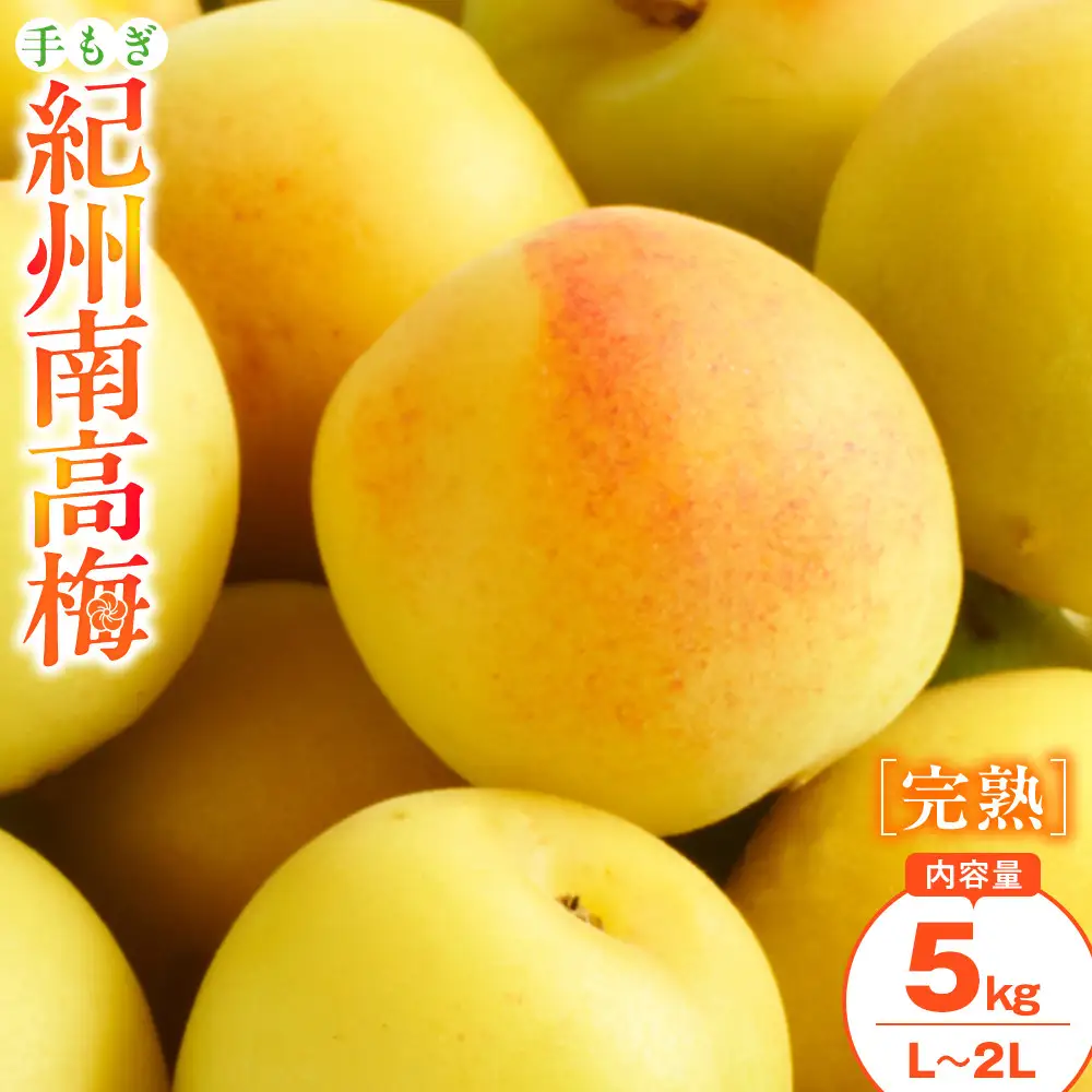手もぎ 完熟南高梅 5kg L～2Lサイズ 谷本農園