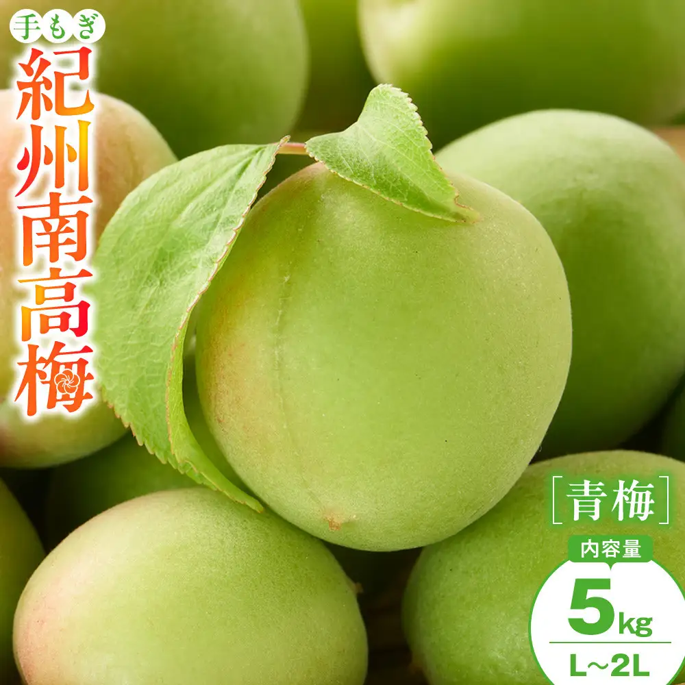 手もぎ 青梅 南高梅 5kg L～2Lサイズ 谷本農園