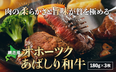 ＜網走産＞オホーツクあばしり和牛 【 ふるさと納税 人気 おすすめ ランキング オホーツクあばしり和牛 ブランド和牛 限定生産 希少 北海道 網走市 送料無料 】 ABM007