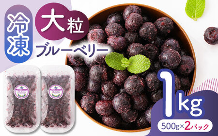 先行予約 大粒 冷凍ブルーベリー 約1000g（約500g×2pc） 【すみれファーム】果物 フルーツ くだもの 大粒 小分け 熊本県産ブルーベリー [ZEP007] 