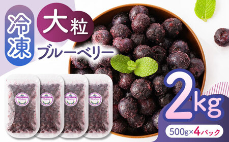先行予約 大粒 冷凍ブルーベリー 約2000g（約500g×4pc）【すみれファーム】果物 フルーツ くだもの 大粒 小分け 熊本県産ブルーベリー  [ZEP009]