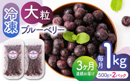 先行予約 【3回定期便】大粒 冷凍ブルーベリー 約1000g（約500g×2pc）【すみれファーム】果物 フルーツ くだもの 大粒 小分け 熊本県産ブルーベリー [ZEP010]