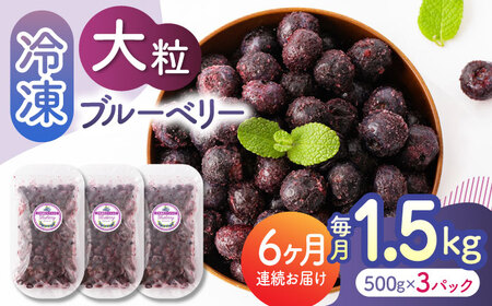 先行予約 【6回定期便】大粒 冷凍ブルーベリー 約1500g（約500g×3pc）【すみれファーム】果物 フルーツ くだもの 大粒 小分け 熊本県産ブルーベリー [ZEP014]