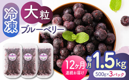 先行予約 【12回定期便】大粒 冷凍ブルーベリー 約1500g（約500g×3pc）【すみれファーム】果物 フルーツ くだもの 大粒 小分け 熊本県産ブルーベリー [ZEP015]