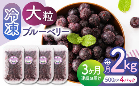 先行予約 【3回定期便】大粒 冷凍ブルーベリー 約2000g（約500g×4pc）【すみれファーム】果物 フルーツ くだもの 大粒 小分け 熊本県産ブルーベリー [ZEP016]