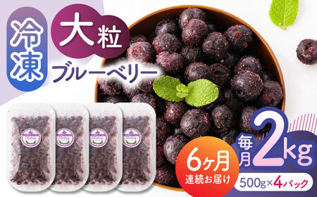 先行予約 【6回定期便】大粒 冷凍ブルーベリー 約2000g（約500g×4pc）【すみれファーム】果物 フルーツ くだもの 大粒 小分け 熊本県産ブルーベリー [ZEP017]