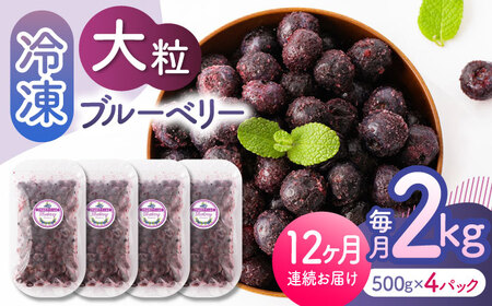 先行予約 【12回定期便】大粒 冷凍ブルーベリー 約2000g（約500g×4pc）【すみれファーム】果物 フルーツ くだもの 大粒 小分け 熊本県産ブルーベリー [ZEP018]