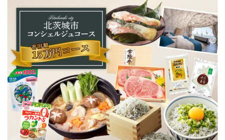 【提案型】コンシェルジュコース（15万円）(BM101)